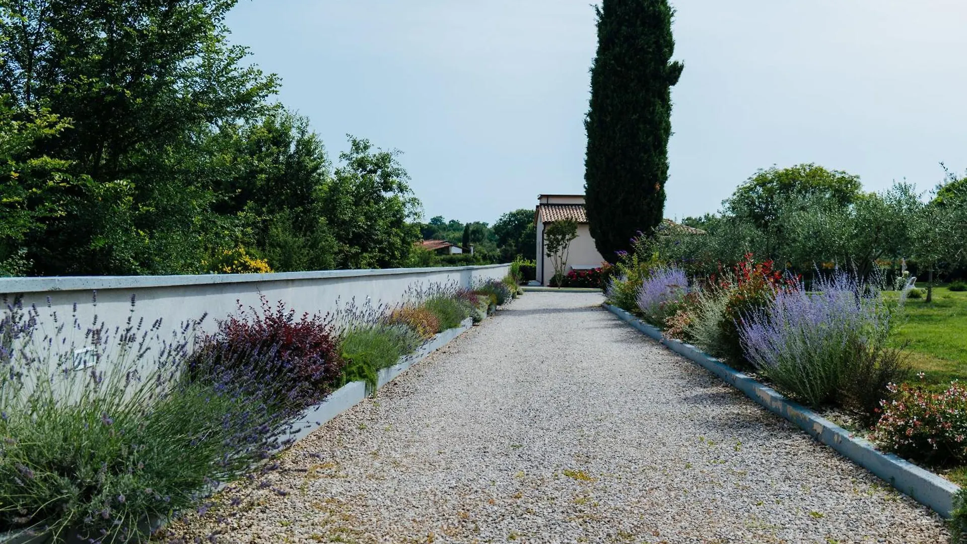 Villa Mila 罗维尼